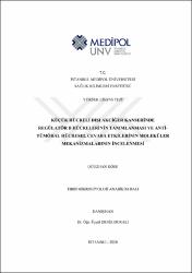 Küçük Resim