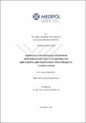 Küçük Resim
