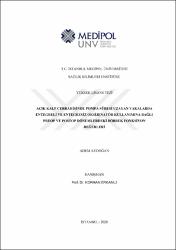 Küçük Resim