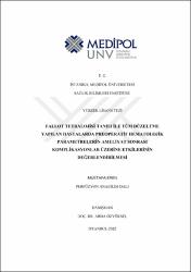 Küçük Resim