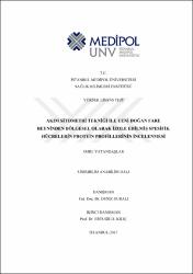 Küçük Resim